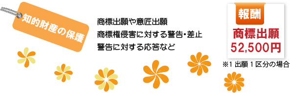 知的財産権の保護