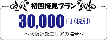 初回接見プラン